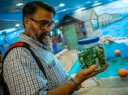 Paul Bologna is among researchers studying the effects of the Oyster Creek Nuclear plant on jellyfish in Barnegat Bay.