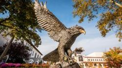 red hawk statue