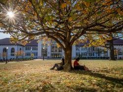 Two students sitting under a tree in the fall.